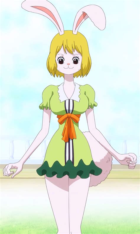 sex one piece carrot|Character: carrot » nhentai